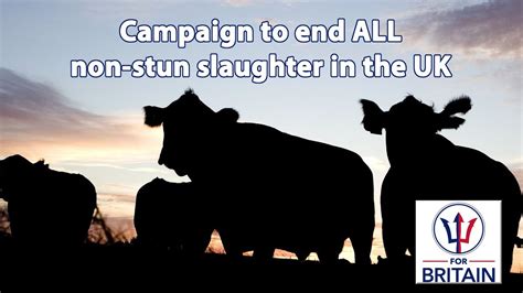 Campaign To End All Non Stun Slaughter In The Uk For Britain Anne
