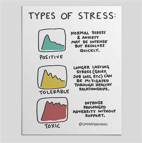 Types Of Stress A Psychoeducational Doodle