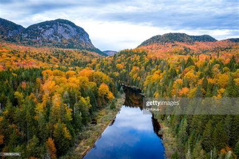 Aerial View Of Boreal Forest Nature In Autumn Season Quebec Canada High