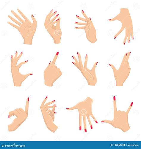 Female Hands Stock Illustration 8340181