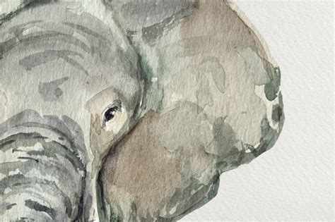 Watercolor Elephants Clip Art By Tatibordiu Watercolor Thehungryjpeg
