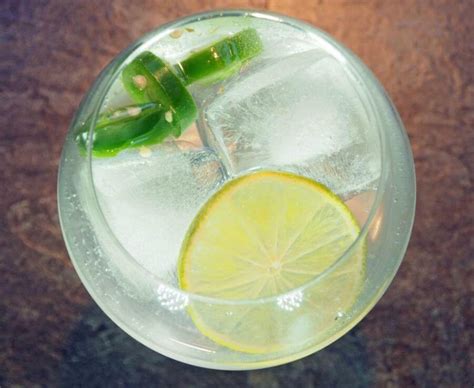 12 Gin And Tonic Garnishes You Must Try ~ The Gin Queen