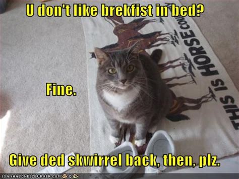 That's a pretty impressive figure. Cat, the Gift Giver - Way of Cats blog