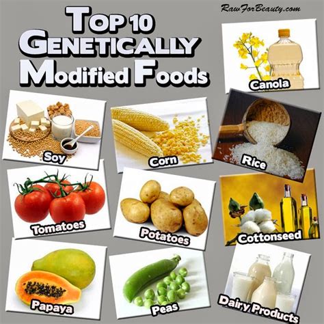 Health And Nutrition Tips Top 10 Genetically Modified Foods