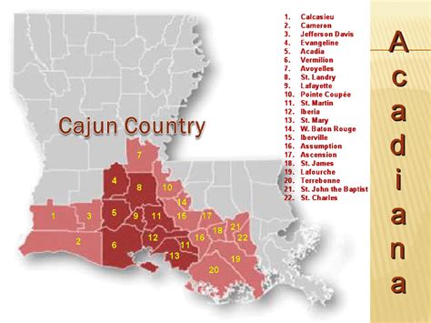Acadiana Map Map Of Acadians In Louisiana Powerpoint Slide Ppt For