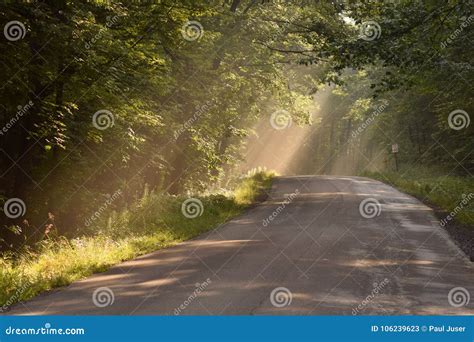 Sunbeams Through The Trees On A Country Road Stock Image Image Of