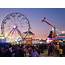 Sonoma County Fair  Canceled SonomaCountycom