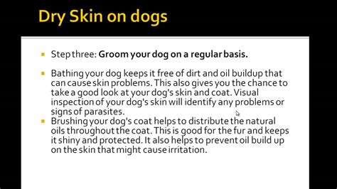 Dry Skin On Dogs Natural Home Remedies For Dogs With Dry Skin Youtube