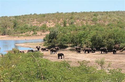 Limpopo National Park Thebitetour