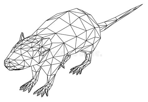 Rat Polygonal Lines Illustration Stock Illustration Illustration Of