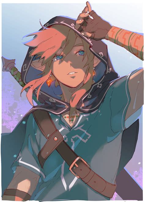 Link Botw Icon