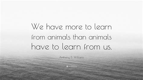 Anthony D Williams Quote We Have More To Learn From Animals Than