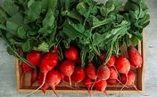 Toda la verdad sobre la clasificación del rábano, ¿verdura o fruta?