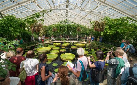 Kew Gardens Tickets Royal Botanical Gardens London Updated 2021