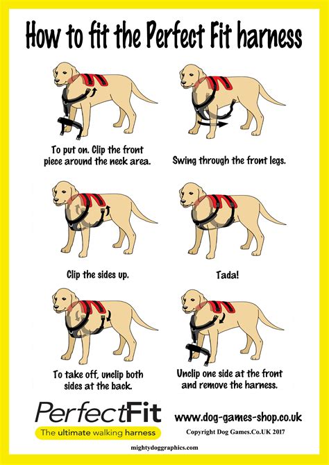 Perfect Fit Harnesses K9 Counselling