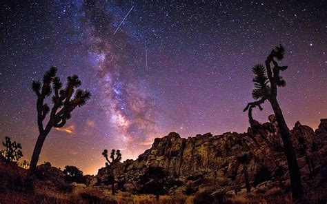Milky Way Sky Over Joshua Trees In The Desert