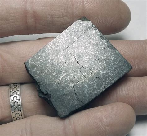 Nwa 6624 Meteorite Polished Slice H56 Chondrite This Specimen And