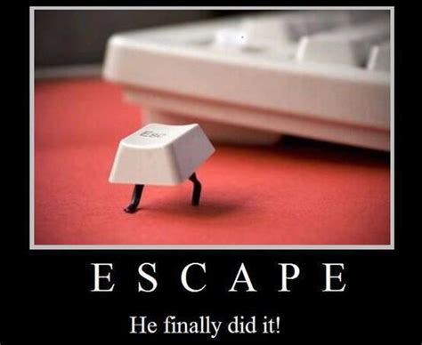 Escape He Finally Did It Funny Lover