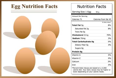 The Boiled Egg Diet A Detailed Beginners Guide