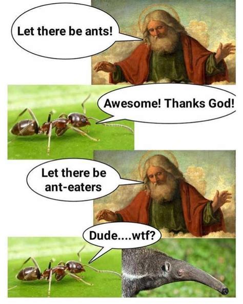 Let There Be Ants Know Your Meme