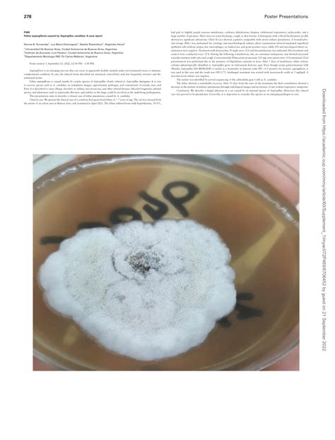 Pdf P469 Feline Aspergillosis Caused By Aspergillus Candidus A Case