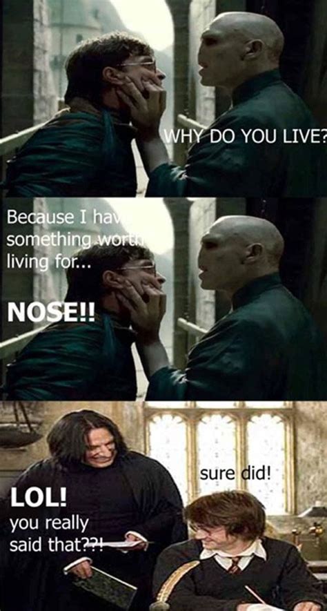 30 hilarious harry potter memes that will make you laugh uncontrollably