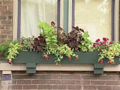 Planting Window Boxes For Shade Diy