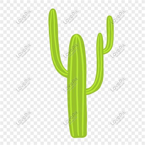 Cartoon Green Cactus Vector Material Png Transparent Image And Clipart