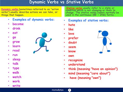 State And Action Verbs English Quizizz