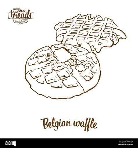 Belgian Waffle Bread Vector Drawing Food Sketch Of Waffle Usually