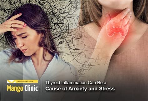 Thyroid Inflammation Can Be A Cause Of Anxiety And Stress Mango Clinic
