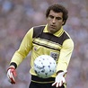 Peter shilton hi-res stock photography and images - Alamy | England ...