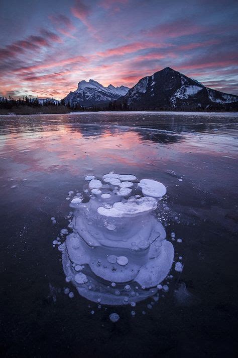 Ice Bubbles At Vermilion Lakes Banff National Park Alberta Canada