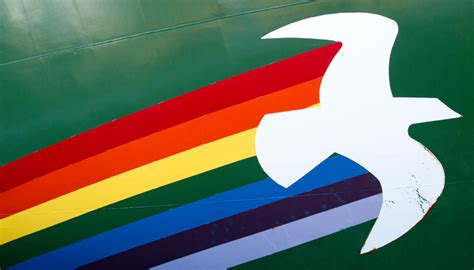 Rainbow Warrior Iii Whalespotter