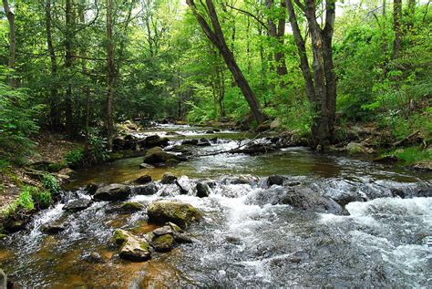 Running Creek Photograph By Kathy Gibbons