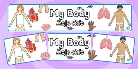 👉 My Body Banner Polish Translation Teacher Made