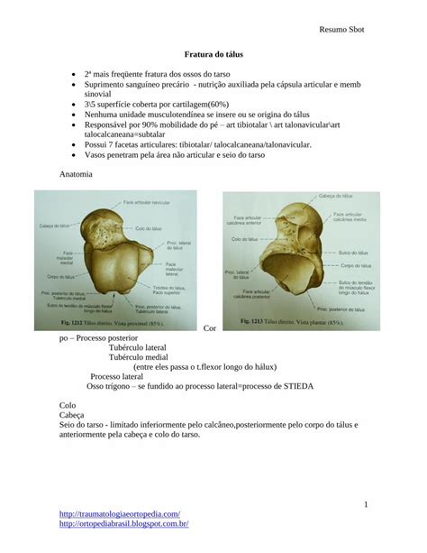 PDF Fratura do tálus traumatologiaeortopedia com ramos deltóides