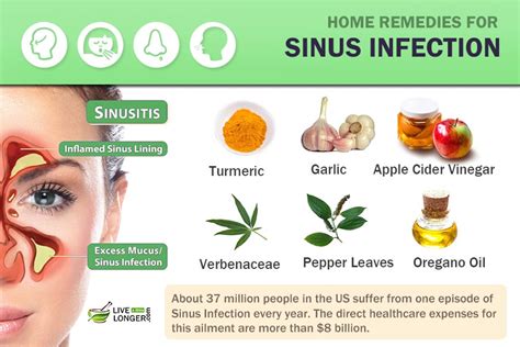 Maybe you would like to learn more about one of these? Sinus Treatment | Sinus Infection | Sinus Home Remedy ...