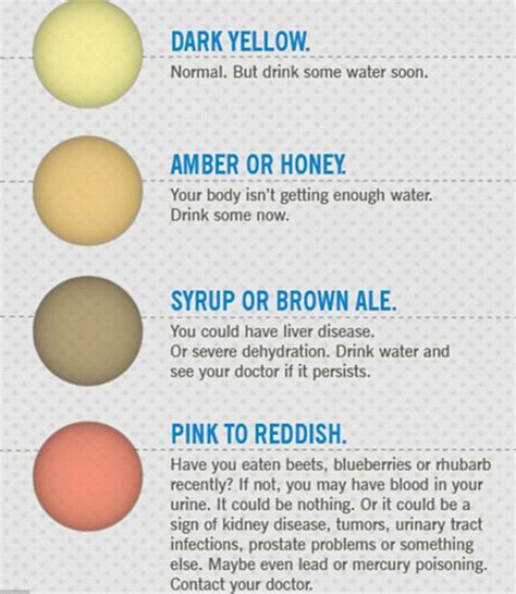 Heres What The Color Of Your Urine Says About Your Health Color