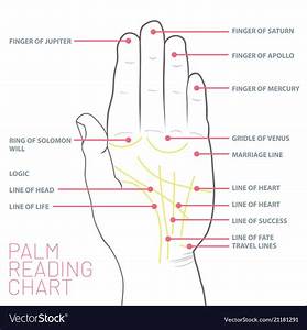 Palm Reading Chart Palmistry Map Of The Palms Vector Image