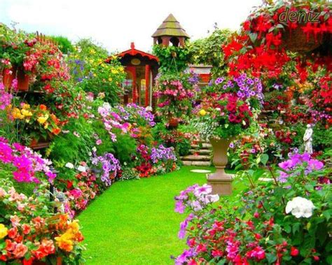 Dreamy Colorful Gorgeous Backyard Garden Flowers Wonderland The