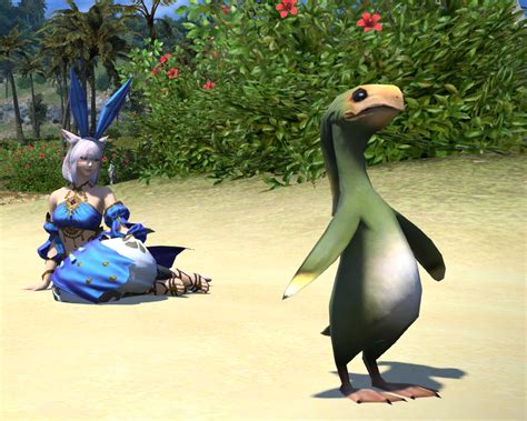 Eorzea Database Fledgling Apkallu Final Fantasy Xiv The Lodestone