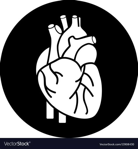 Heart Organ Human Icon Royalty Free Vector Image