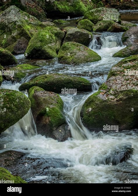 Ein Bach Mit Steinen Und Fliessendem Wasser Landschaft Erleben In Der