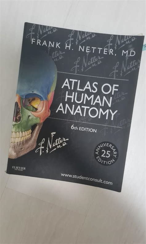 Netters Atlas Of Human Anatomy Hobbies And Toys Books And Magazines
