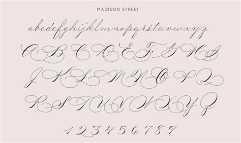 Pointed Pen Calligraphy Font Based On Spencerian Script And Ornamental