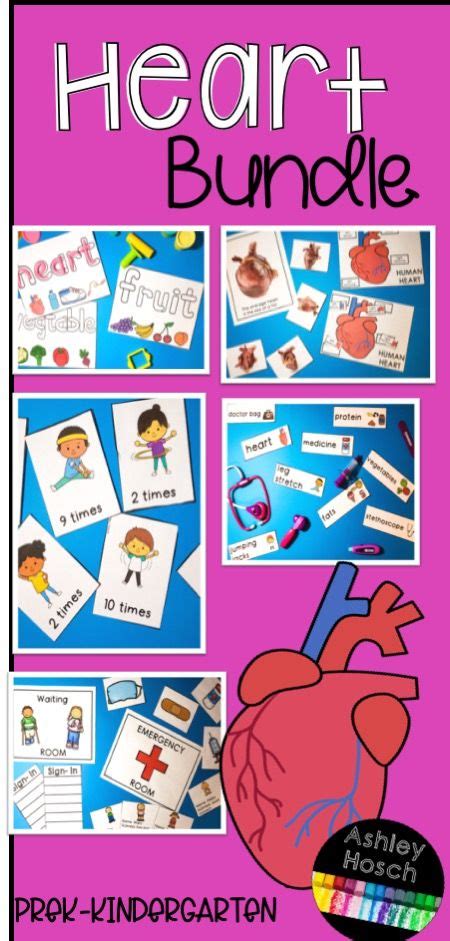 Heart Health Bundle For Preschool Prek Kindergarten And Homeschool