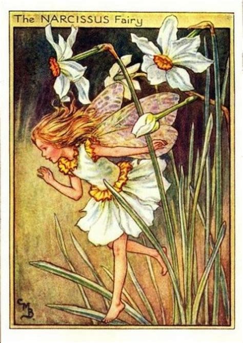 Lavender Flower Fairy Flower Fairy Prints