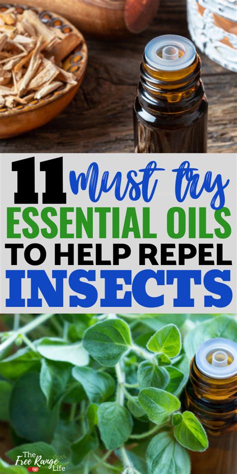 11 Essential Oils That Repel Bugs Insects And Pests Naturally In 2020 Natural Insect
