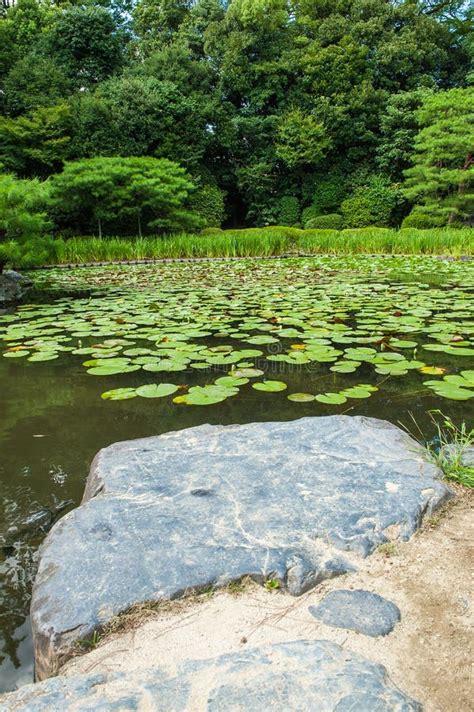 Zen Garden Stock Photo Image Of Calm Stone Gardening 29367672